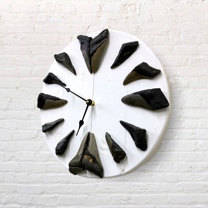 Megalodon Tooth | Clock with Sharks Teeth on White Wood