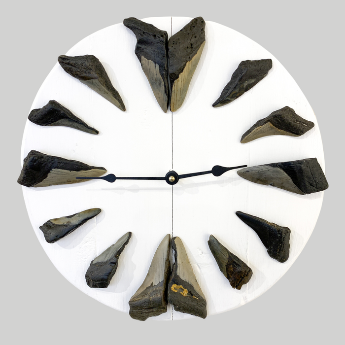 Megalodon Tooth | Clock with Sharks Teeth on White Wood