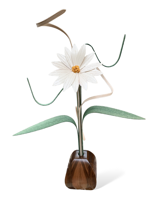 Daisy Wood Flower Arrangement in Black Walnut Vase - Barouke - The WoodCrafters Gallery