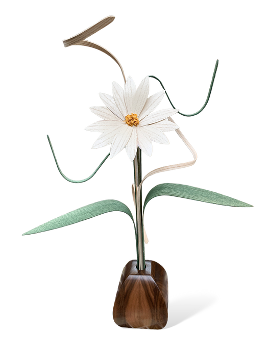 Daisy Wood Flower Arrangement in Black Walnut Vase - Barouke - The WoodCrafters Gallery