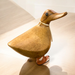 DCUK duck with fox-themed boots