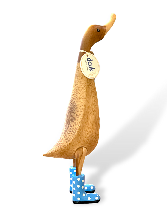 DCUK Ducklet with playful blue spotty welly boots