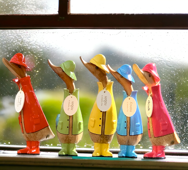 Ducklings in Colorful Raincoats | Raingear - Barouke - The WoodCrafters Gallery