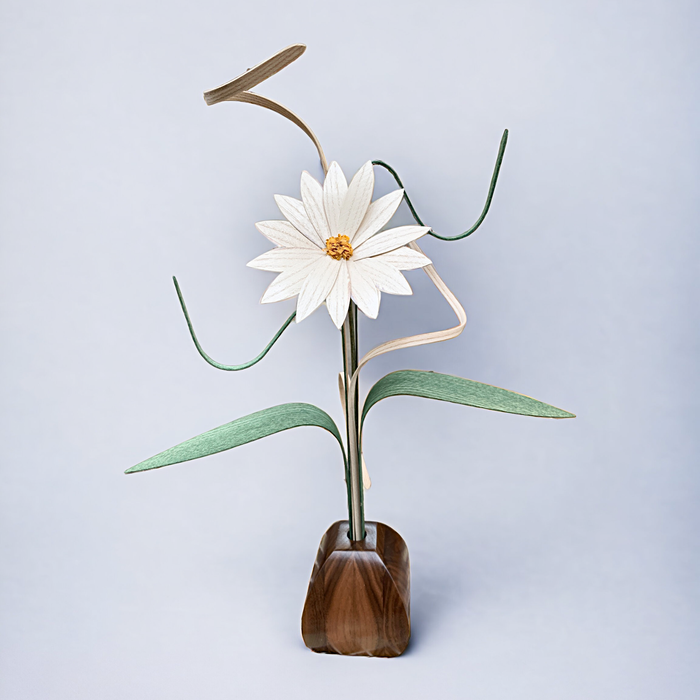 daisy wood flower in black walnut vase.  Handcrafted in the USA.