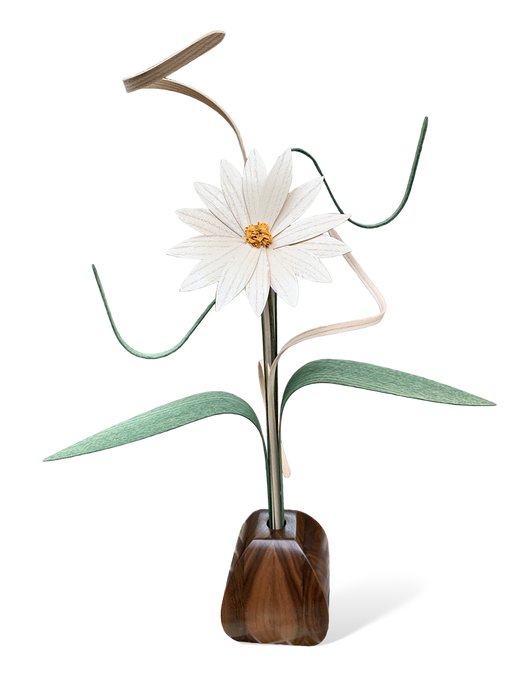 Daisy Wood Flower Arrangement in Black Walnut Vase