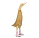 DCUK Pink Floral Boots Ducklet
