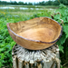 A gift of nature. Large 18-inch Oval Spalted Maple Wood Salad Bowl - Handcrafted in the USA - Ideal for Entertaining and Conversation
