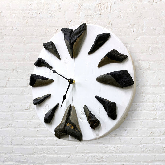 Megladon Tooth | Clock with Sharks Teeth on White Wood