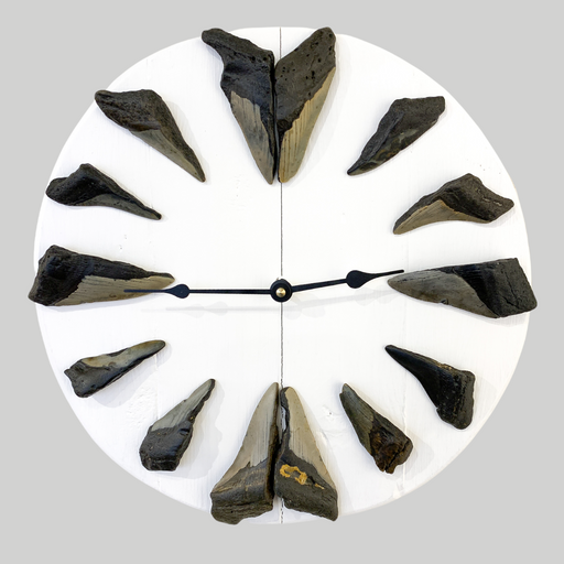 Megalodon Tooth | Clock with Sharks Teeth on White Wood - Barouke - The WoodCrafters Gallery