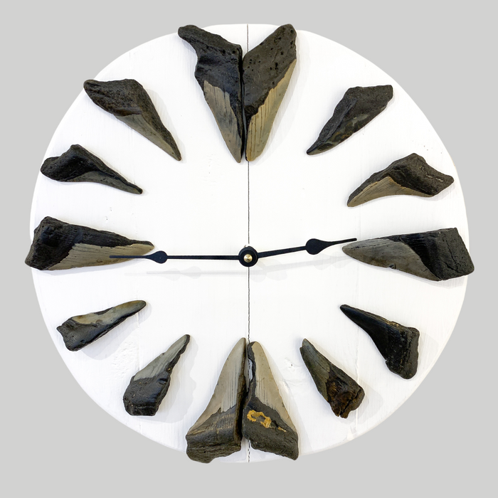 Megalodon Tooth | Clock with Sharks Teeth on White Wood - Barouke - The WoodCrafters Gallery