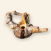 Large Hollow-Form Wood Sculpture - Teapot - Barouke - The WoodCrafters Gallery