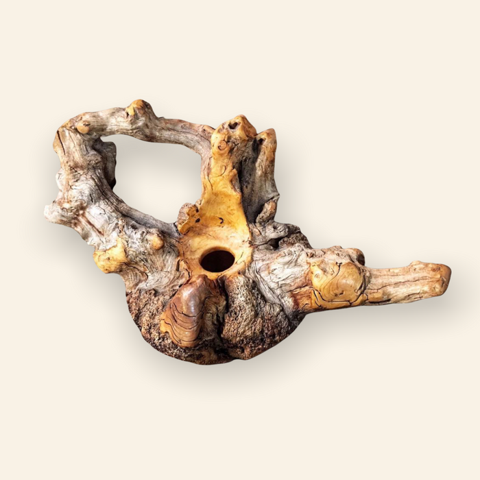 Large Hollow-Form Wood Sculpture - Teapot