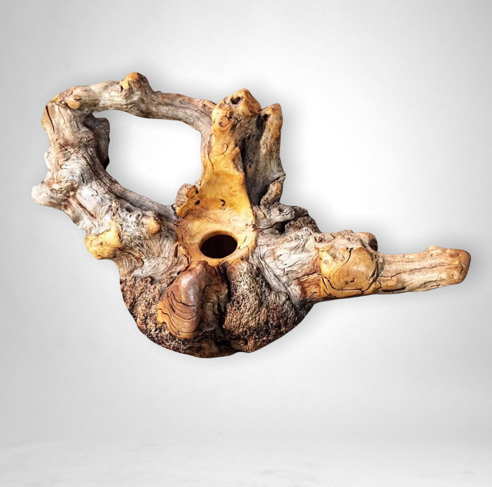Large Hollow-Form Wood Sculpture - Teapot
